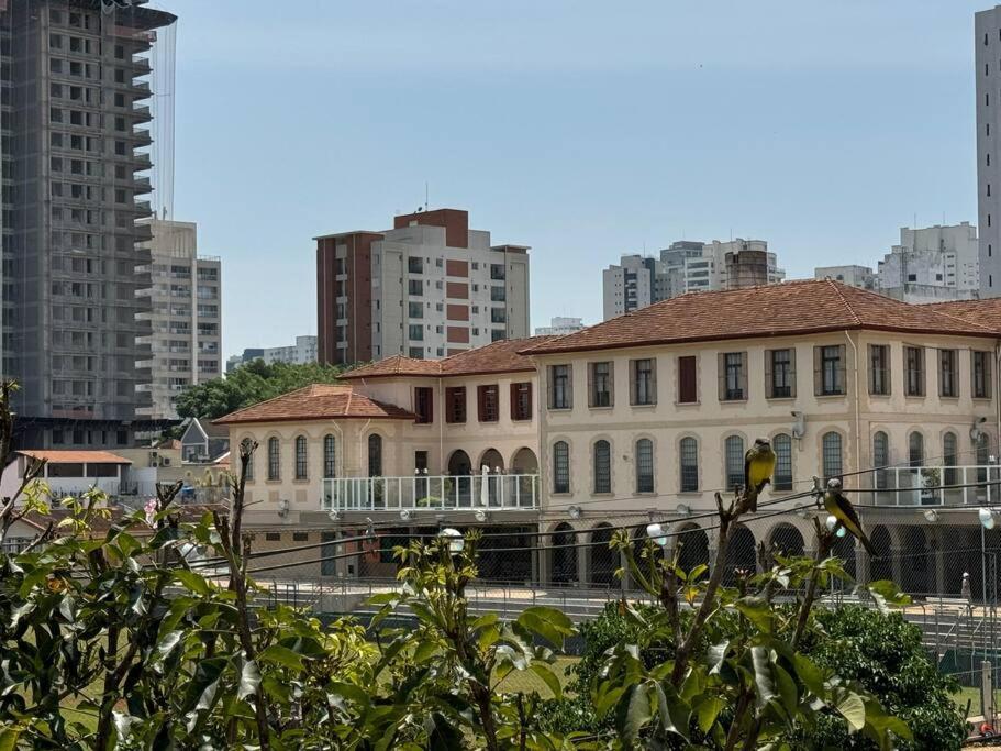 Moderno Prox Ao Metro Santa Cruz Na Clementino