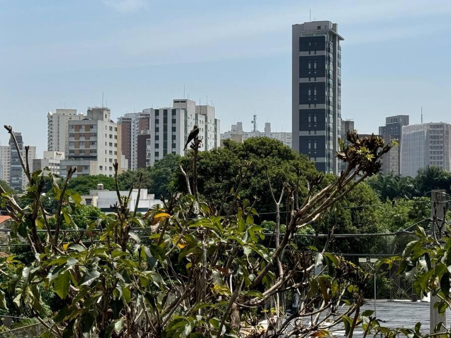 Apartamento Moderno Prox Ao Metro Santa Cruz Na Clementino